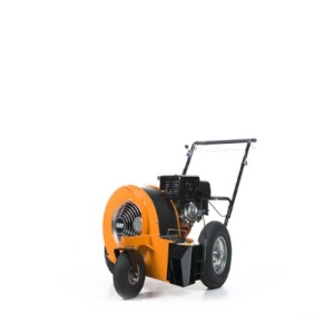 BL 450 E